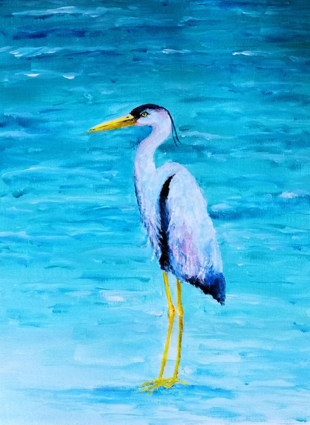 Great Blue Heron - image 1 - student project