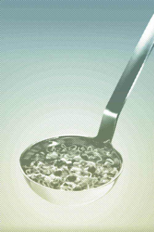 Photoshop CC – Essentials (class projects) - image 8 - student project