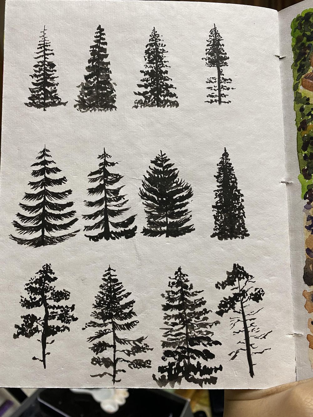 12 Pine Trees - image 2 - student project