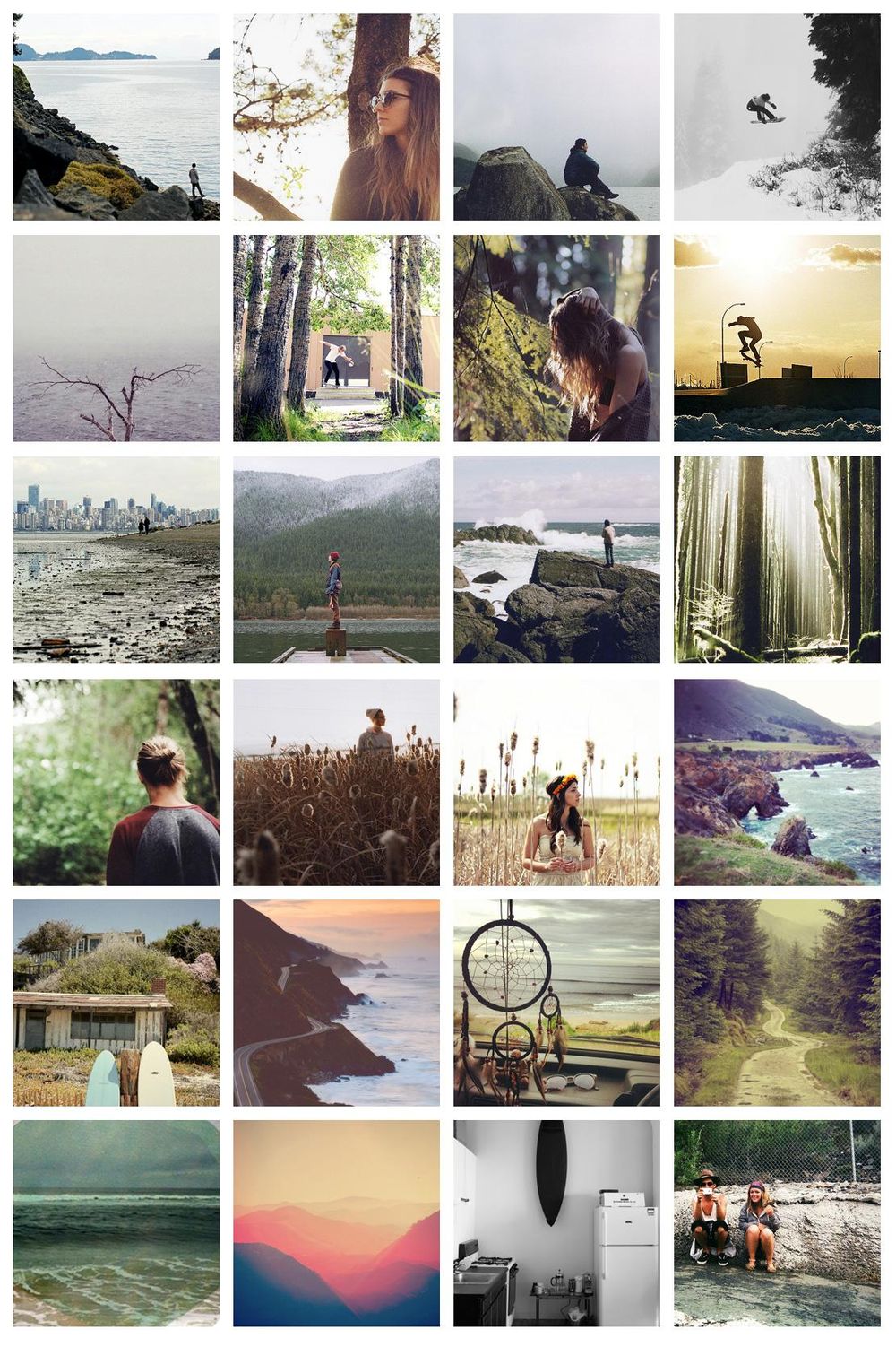 coniferous - image 2 - student project