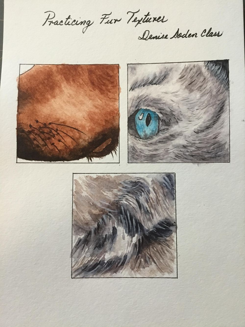 Textures - image 1 - student project