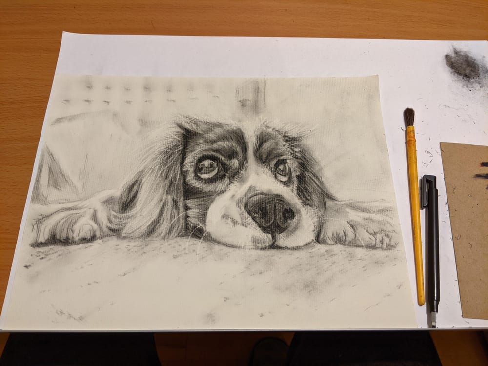 charcoal puppy portrait - image 1 - student project