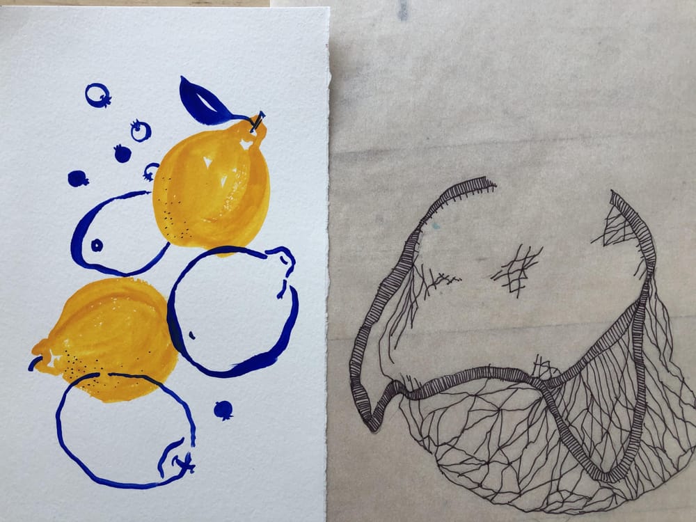 Fruit Shapes Exploration - image 5 - student project