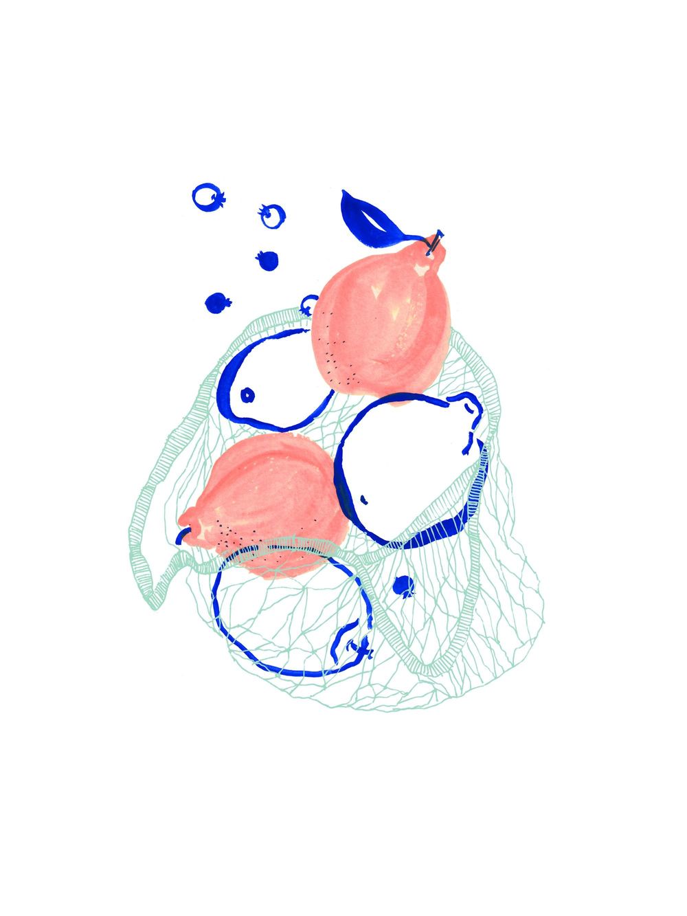 Fruit Shapes Exploration - image 6 - student project