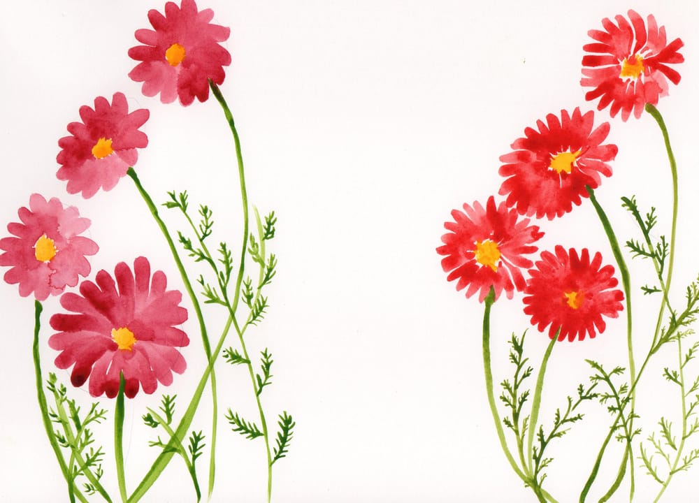 Flowers and Shapes in Gouache and Watercolour - image 8 - student project