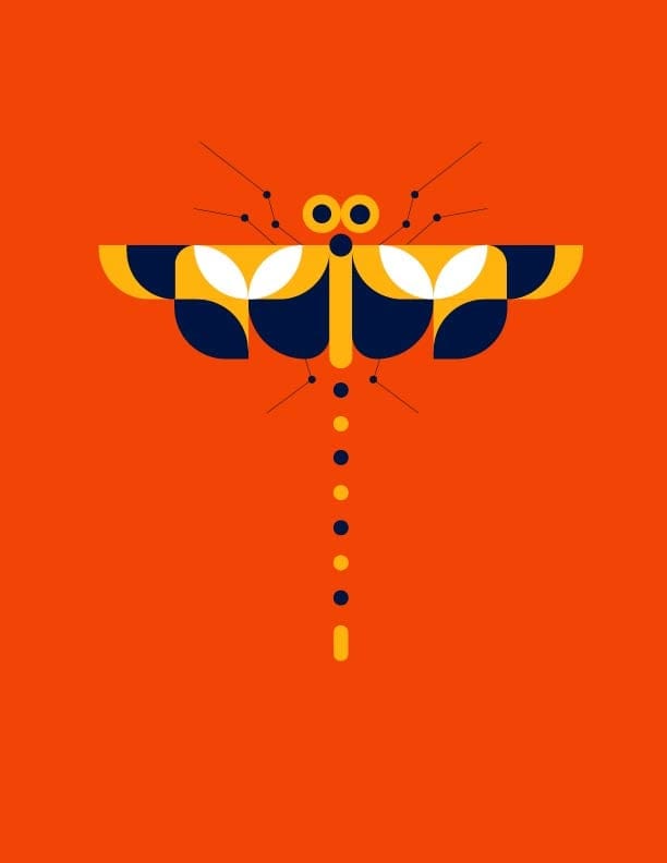 Abstract illustrations-Geometric animals - image 1 - student project