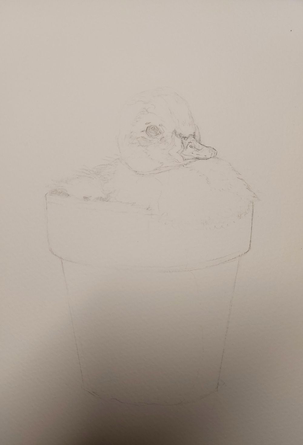 Soft Yellow Duckling Portrait - Learn To Paint Soft Down And Hair - image 2 - student project