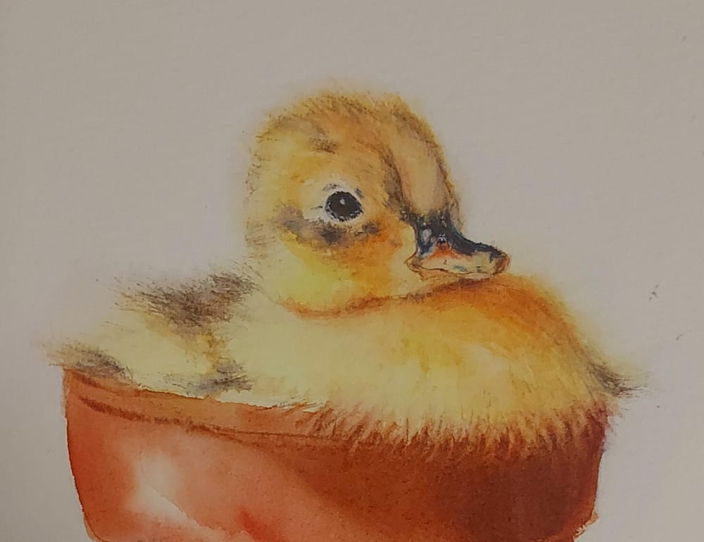 Soft Yellow Duckling Portrait - Learn To Paint Soft Down And Hair - image 1 - student project