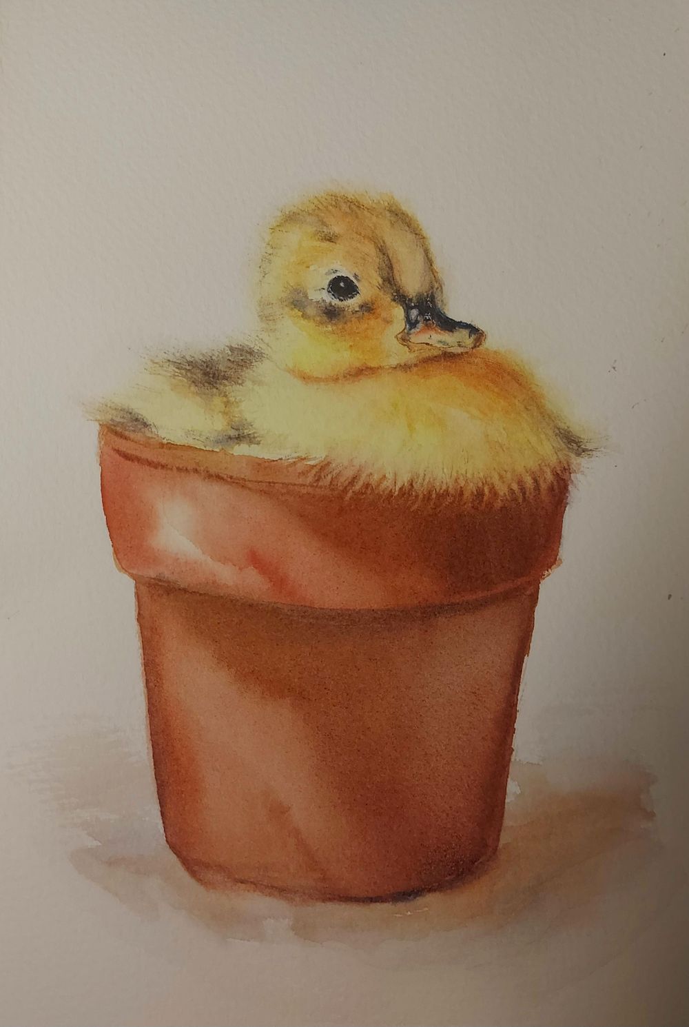 Soft Yellow Duckling Portrait - Learn To Paint Soft Down And Hair - image 3 - student project