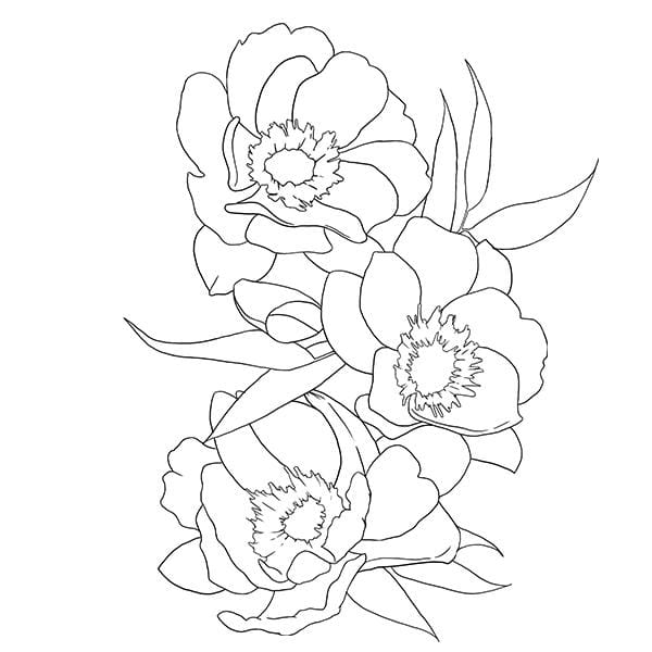 Floral Pattern - image 1 - student project