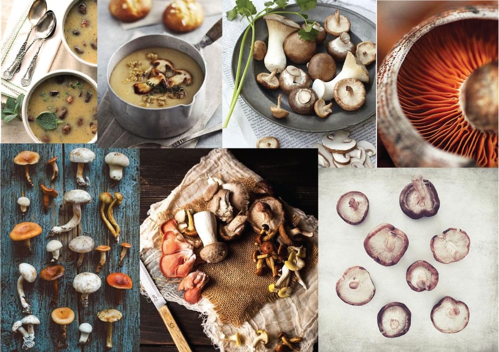 Roasted Mushroom Soup - image 1 - student project