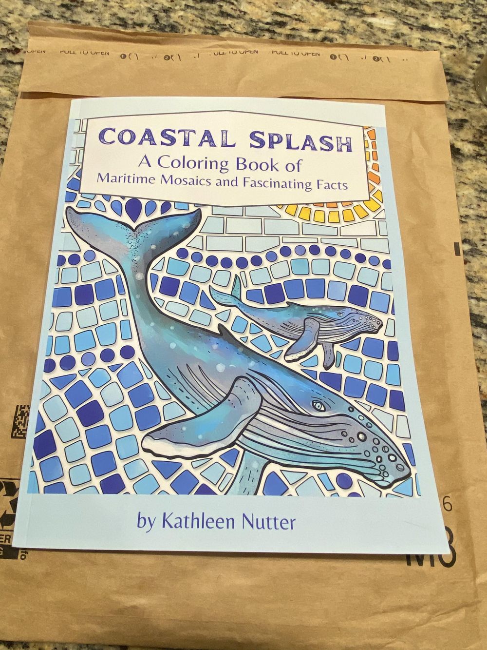 Coastal Splash: A Coloring Book of Maritime Mosaics and Fascinating Facts - image 1 - student project
