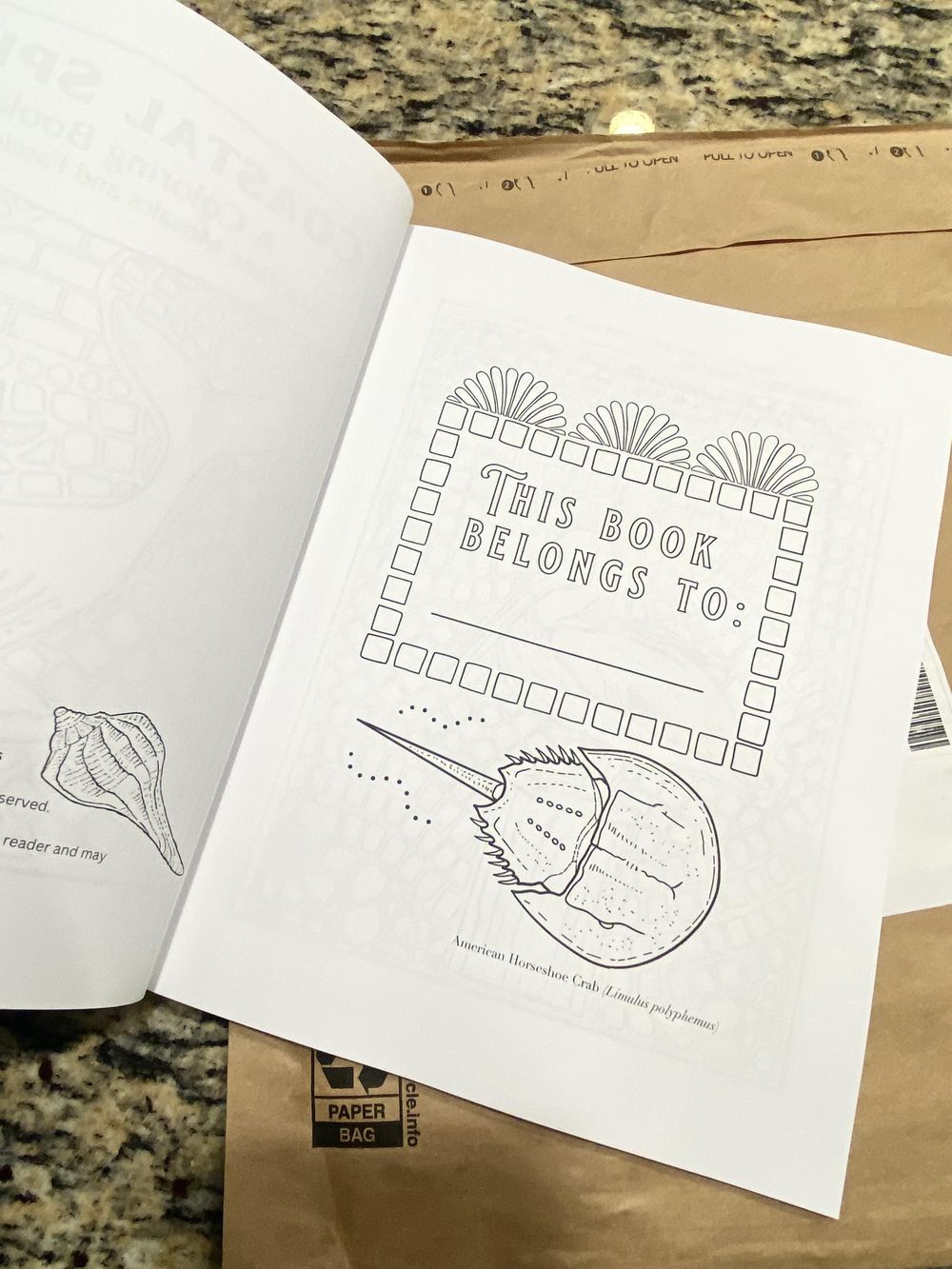 Coastal Splash: A Coloring Book of Maritime Mosaics and Fascinating Facts - image 3 - student project