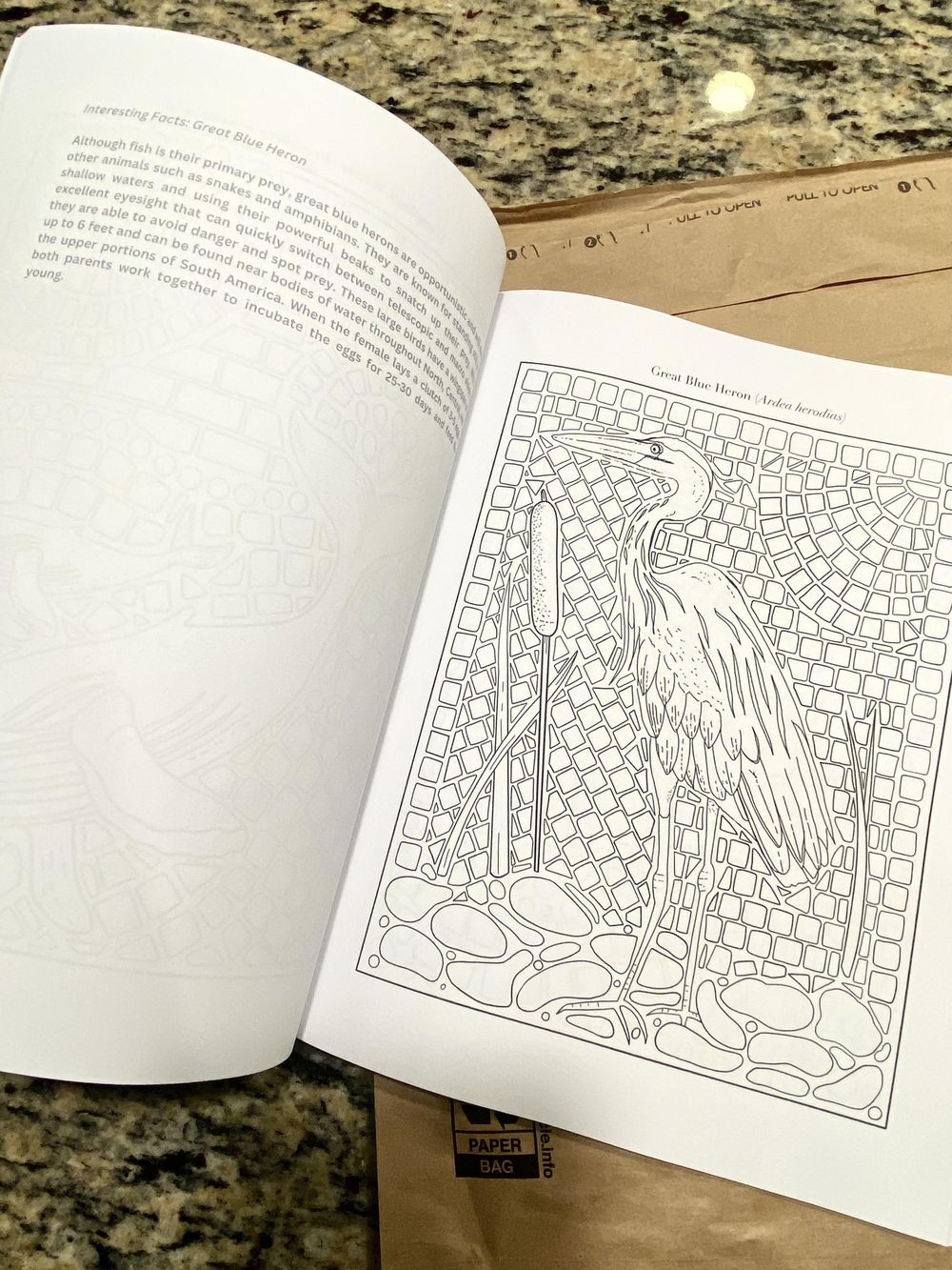 Coastal Splash: A Coloring Book of Maritime Mosaics and Fascinating Facts - image 4 - student project
