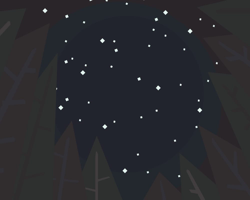 Thetis Island Nights - image 5 - student project