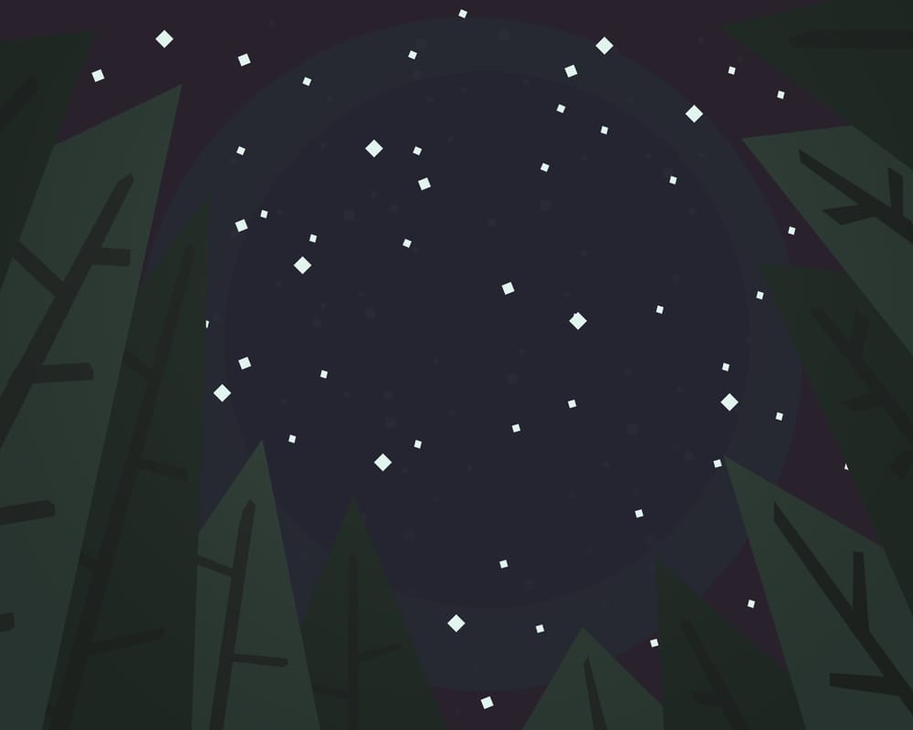 Thetis Island Nights - image 3 - student project