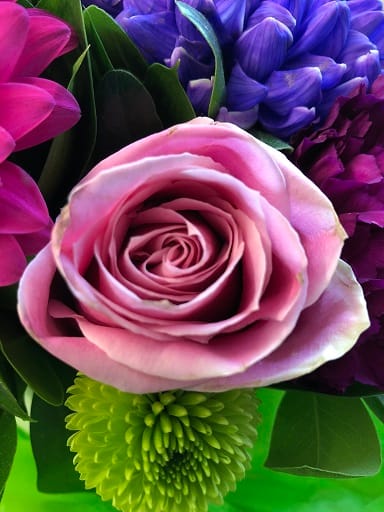 Thinking in INK - cafe au lait roses - image 1 - student project