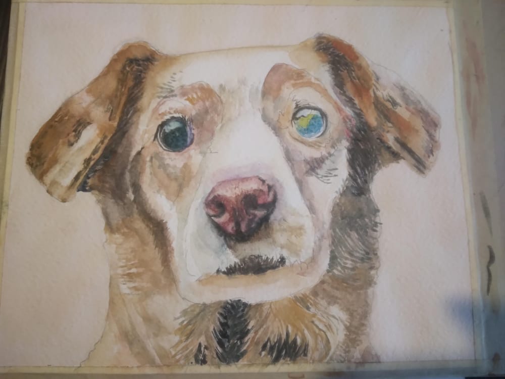 Lovely Dog - image 2 - student project