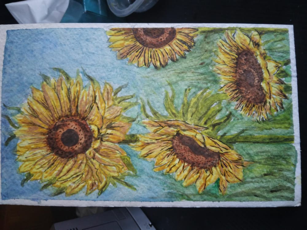 my watercolour sunflowers - image 3 - student project