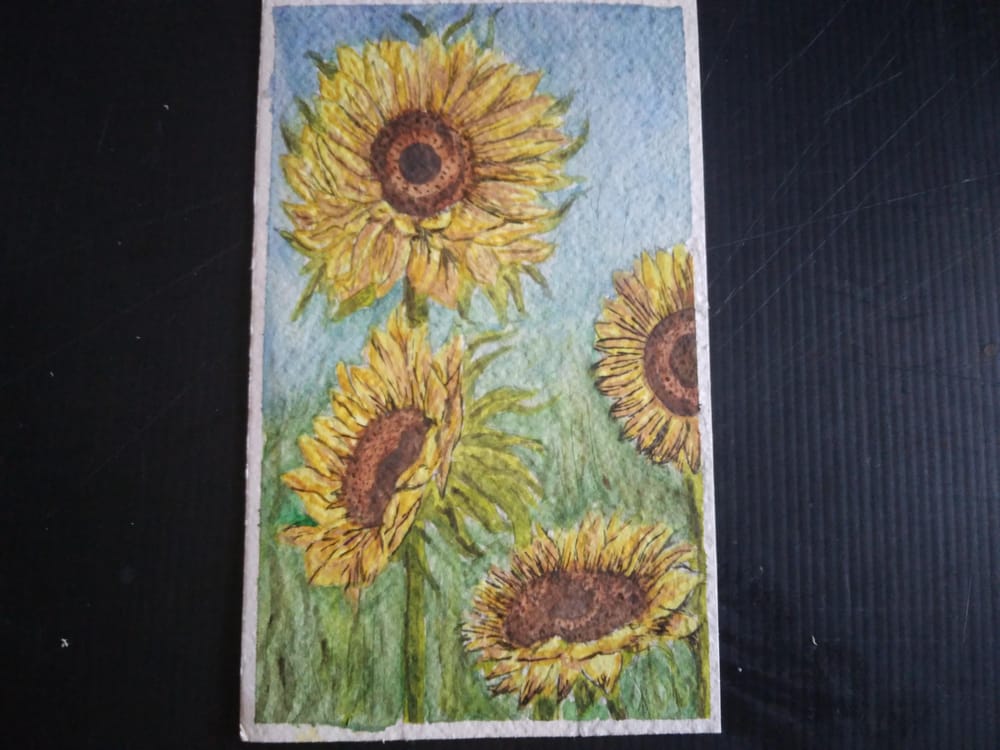 my watercolour sunflowers - image 2 - student project