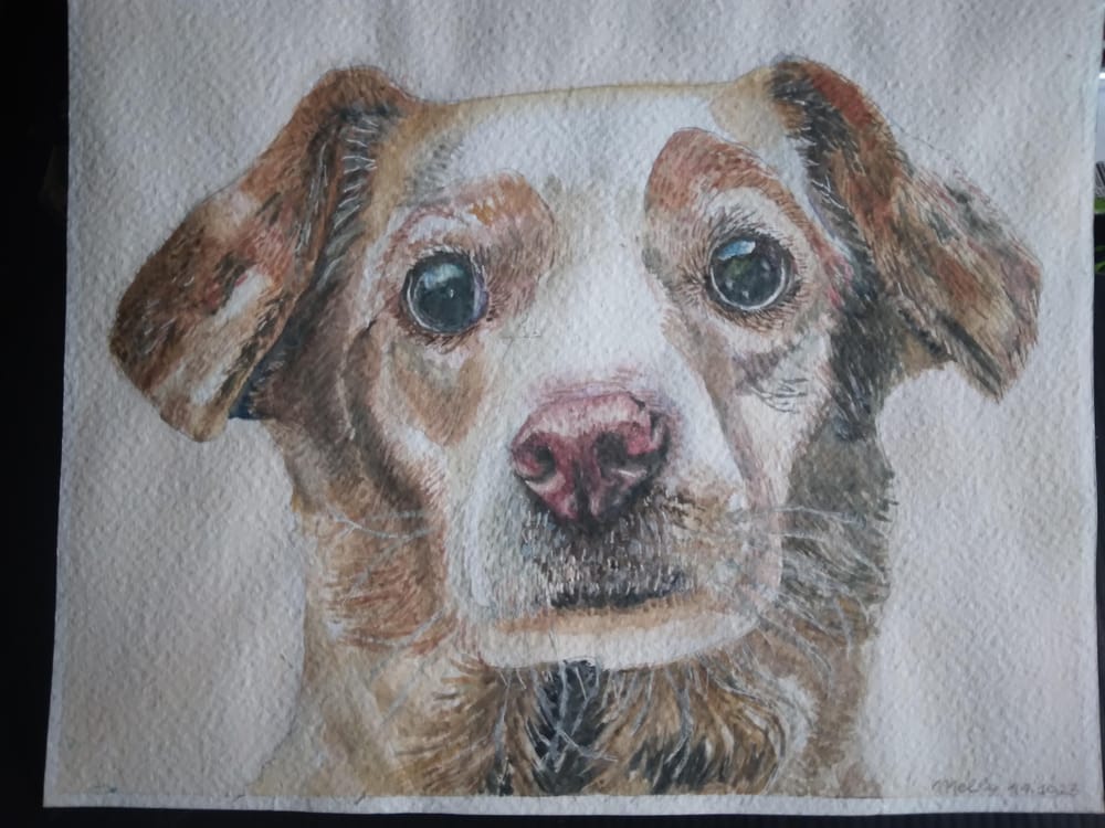 Lovely Dog - image 3 - student project