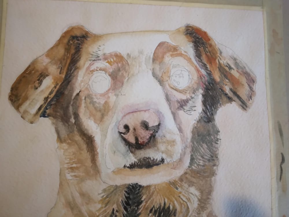 Lovely Dog - image 1 - student project