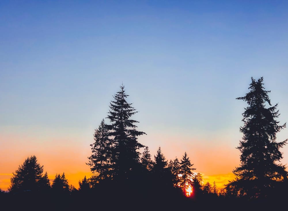 Sunset in Washington - image 2 - student project
