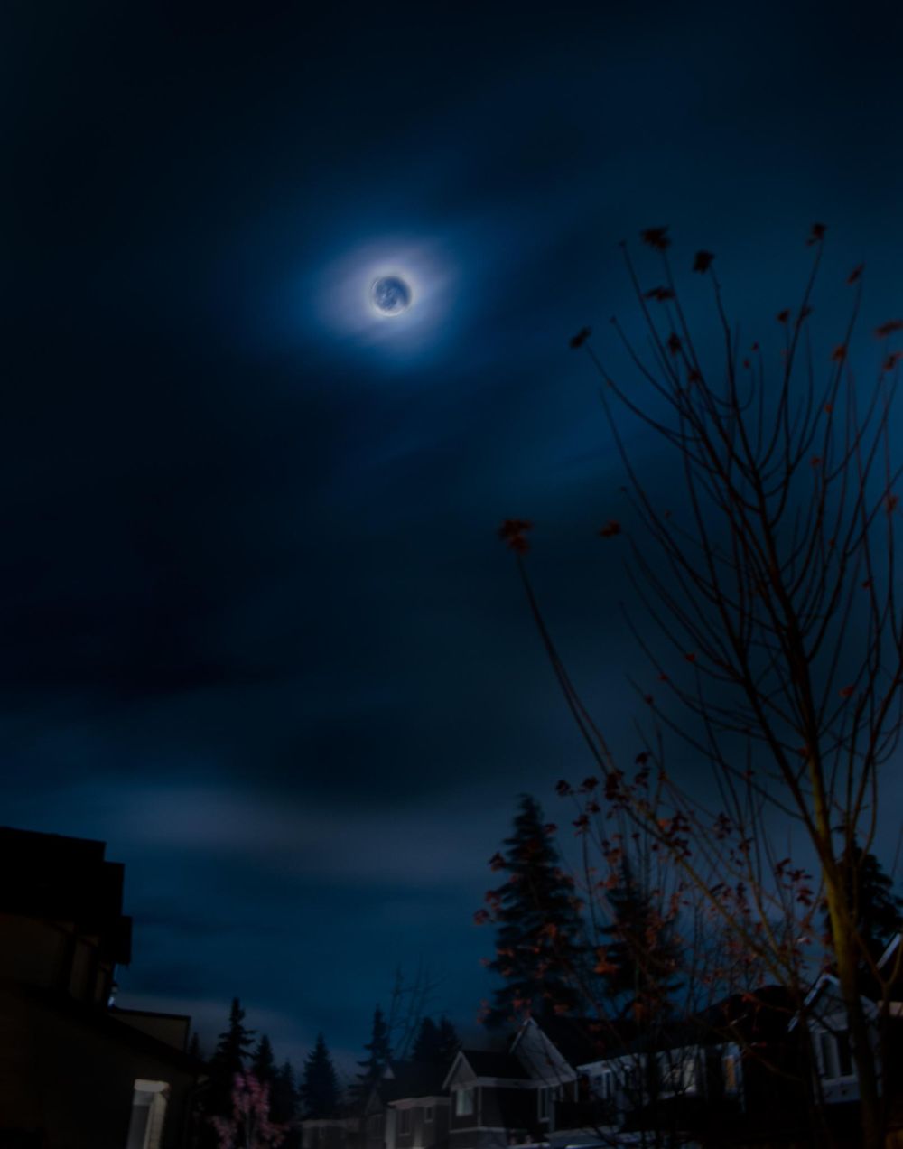 Sunset in Washington - image 3 - student project