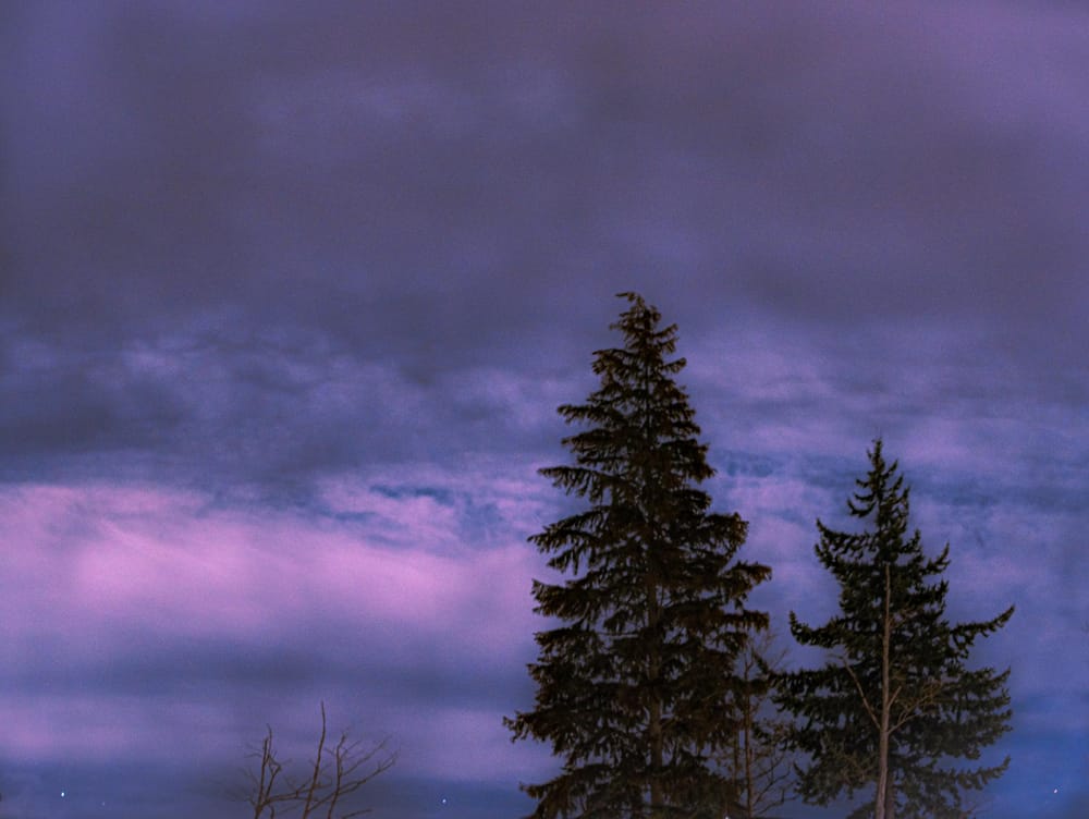 Sunset in Washington - image 1 - student project