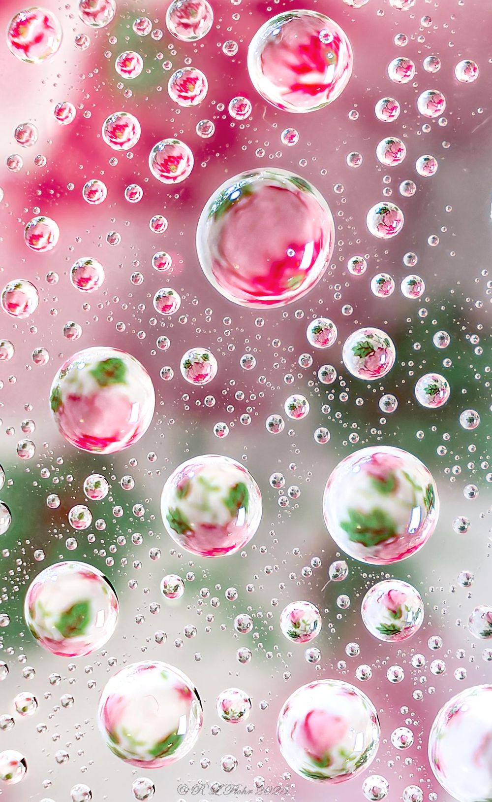 water droplets on 8x10 glass above flag or handkerchief handheld macro - image 2 - student project