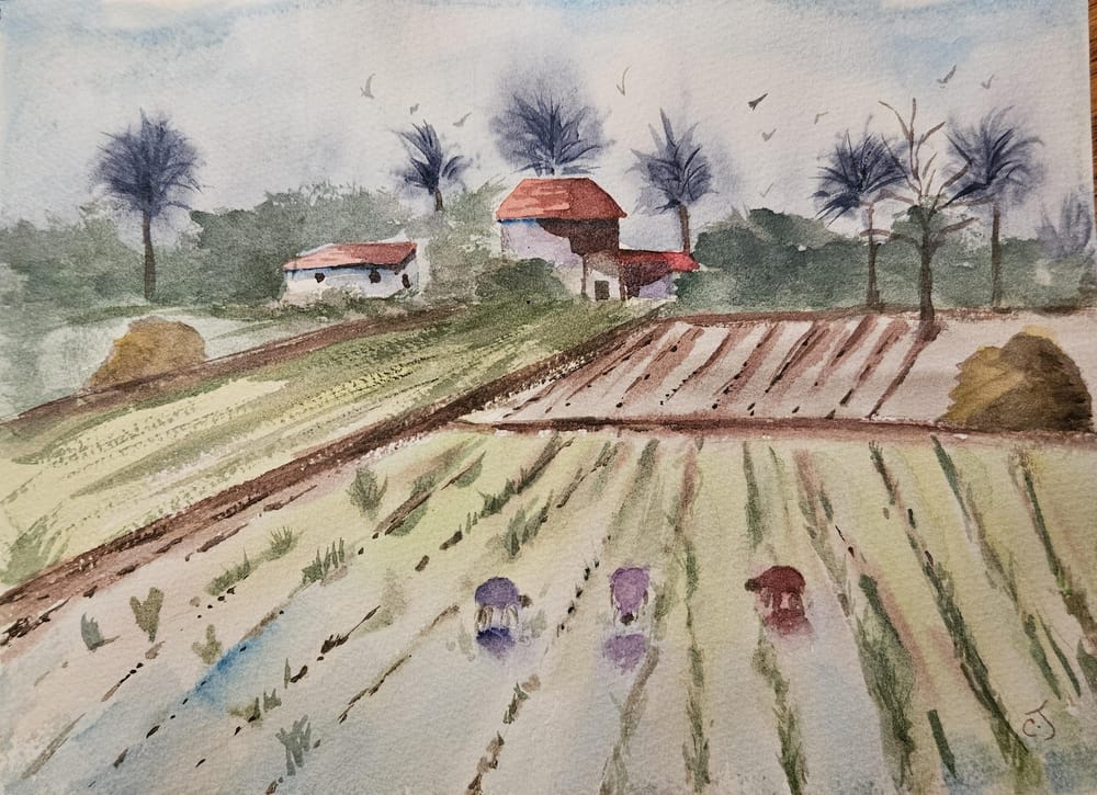 Monsoon fields - image 1 - student project