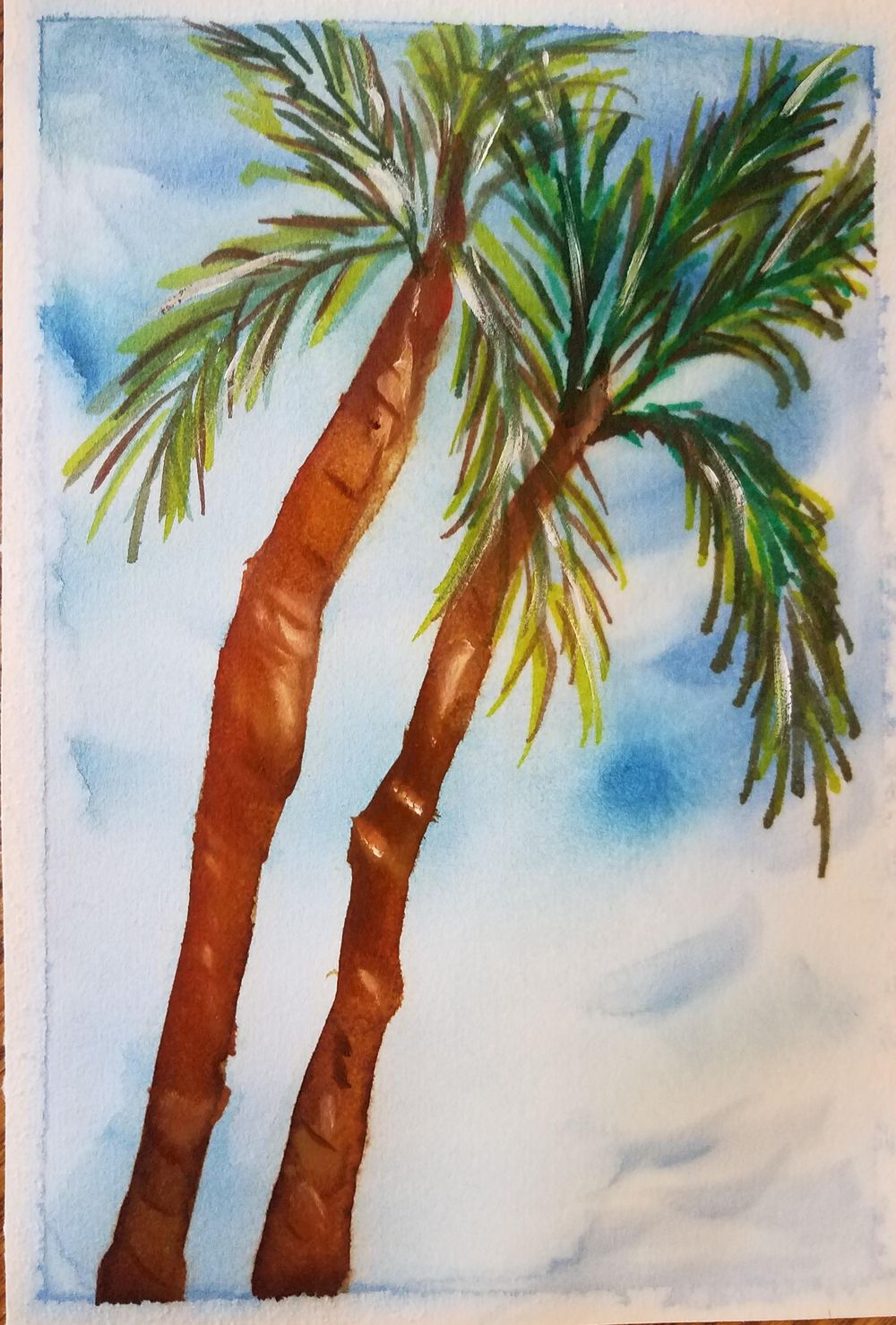 Palm trees - image 1 - student project