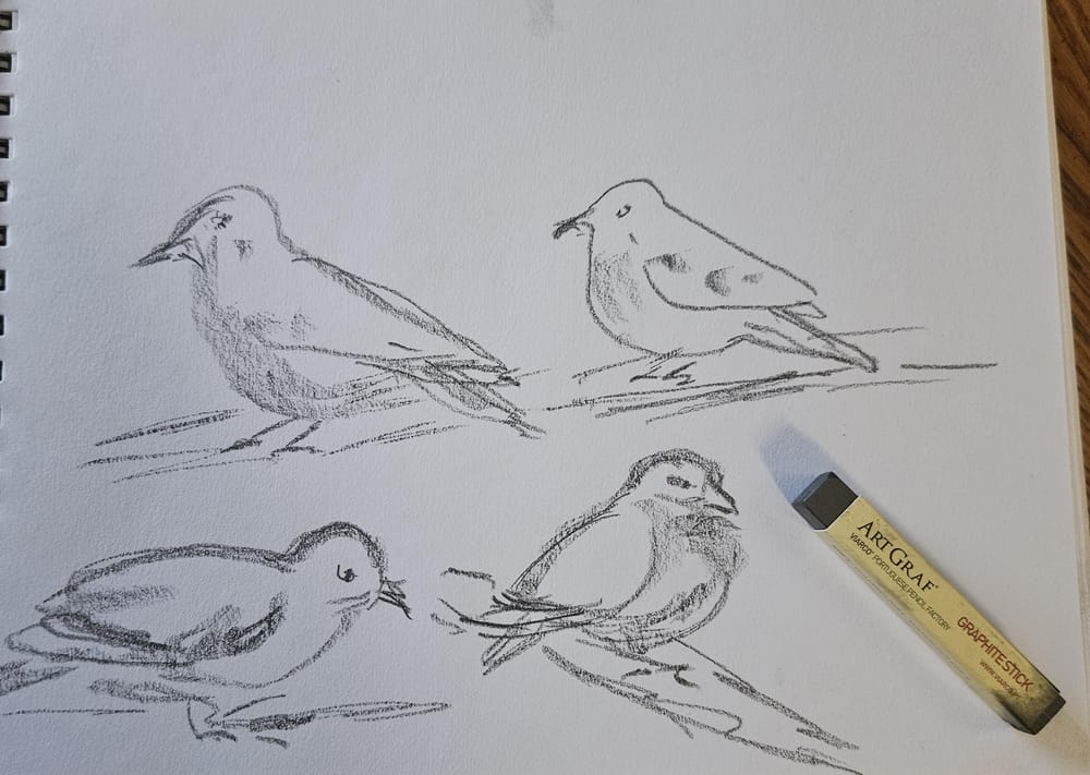 Loose sketching -stick graphite - image 1 - student project