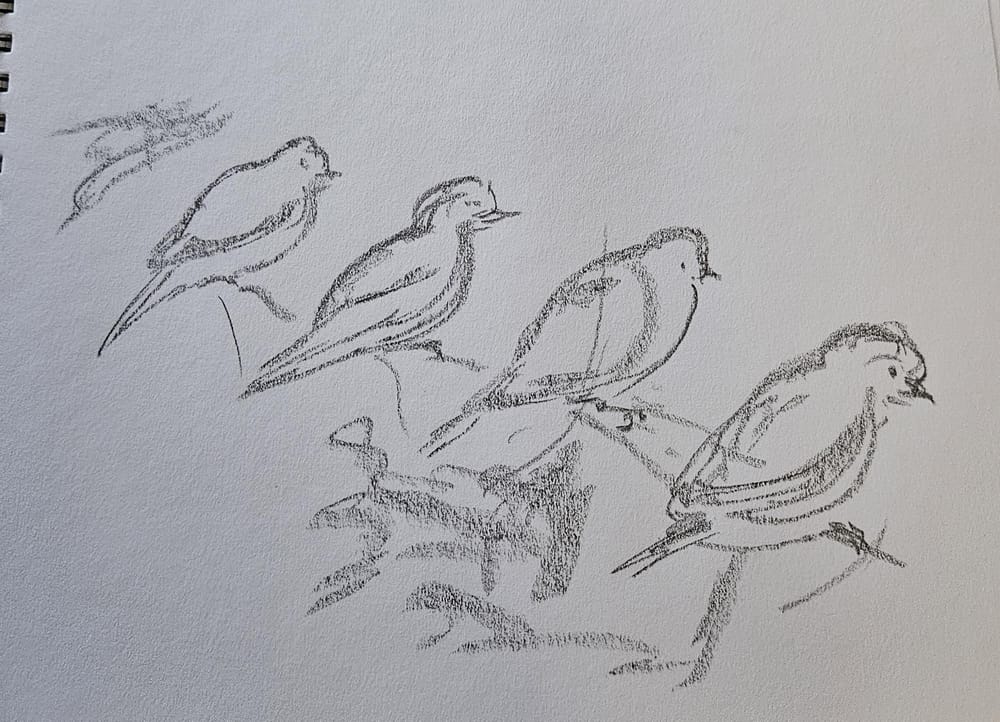 Loose sketching -stick graphite - image 2 - student project