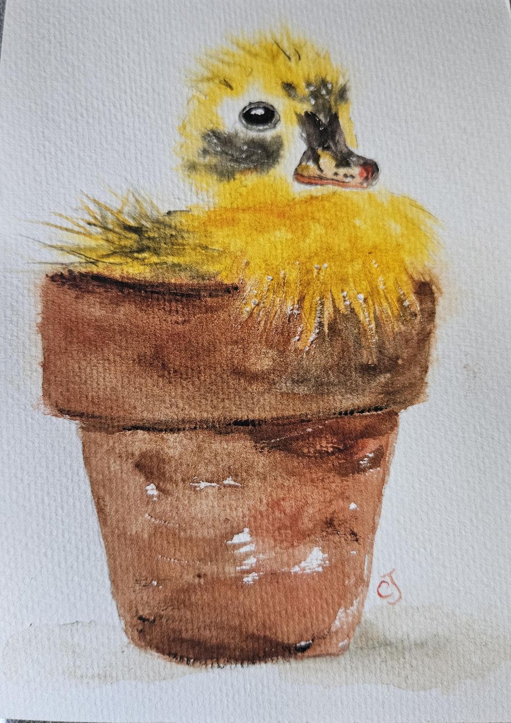 Ducklings - image 2 - student project
