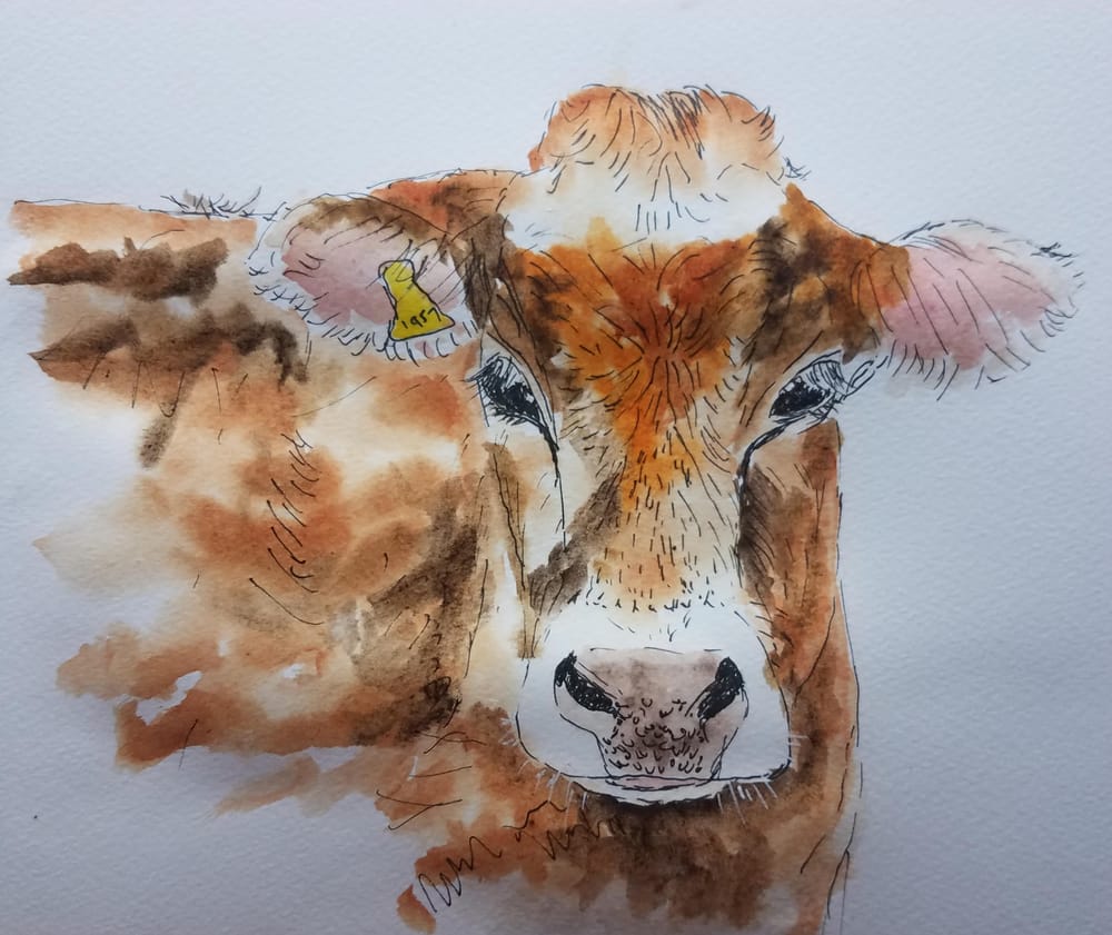 Cow with ink and loose w/c - image 2 - student project