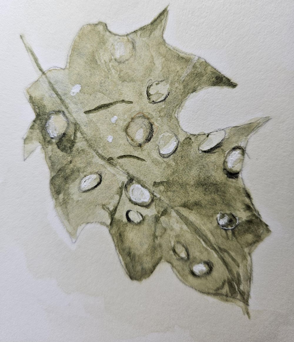 Leaves in undersea green - image 2 - student project