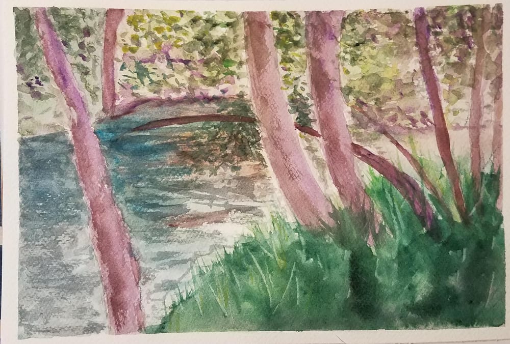 River bank - image 1 - student project