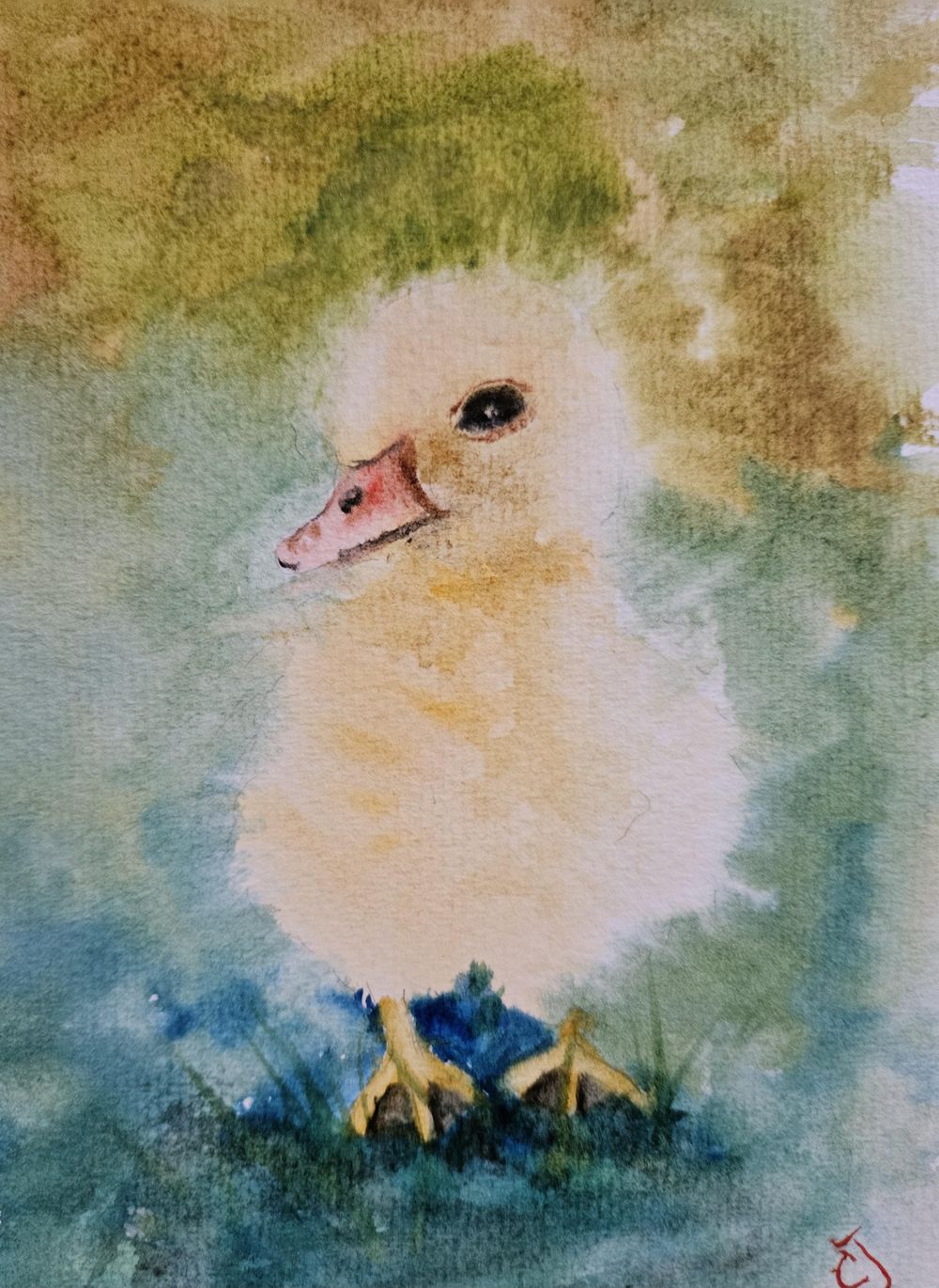 Ducklings - image 1 - student project