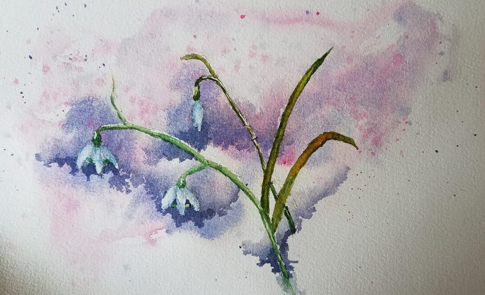 snowdrop - image 1 - student project