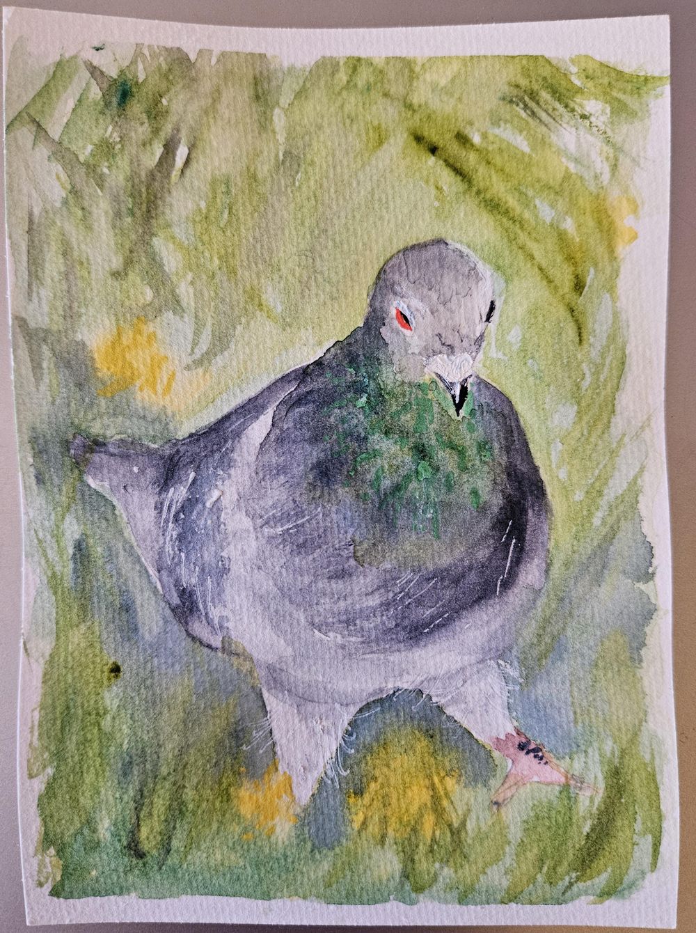 Plump NY pigeon - image 2 - student project