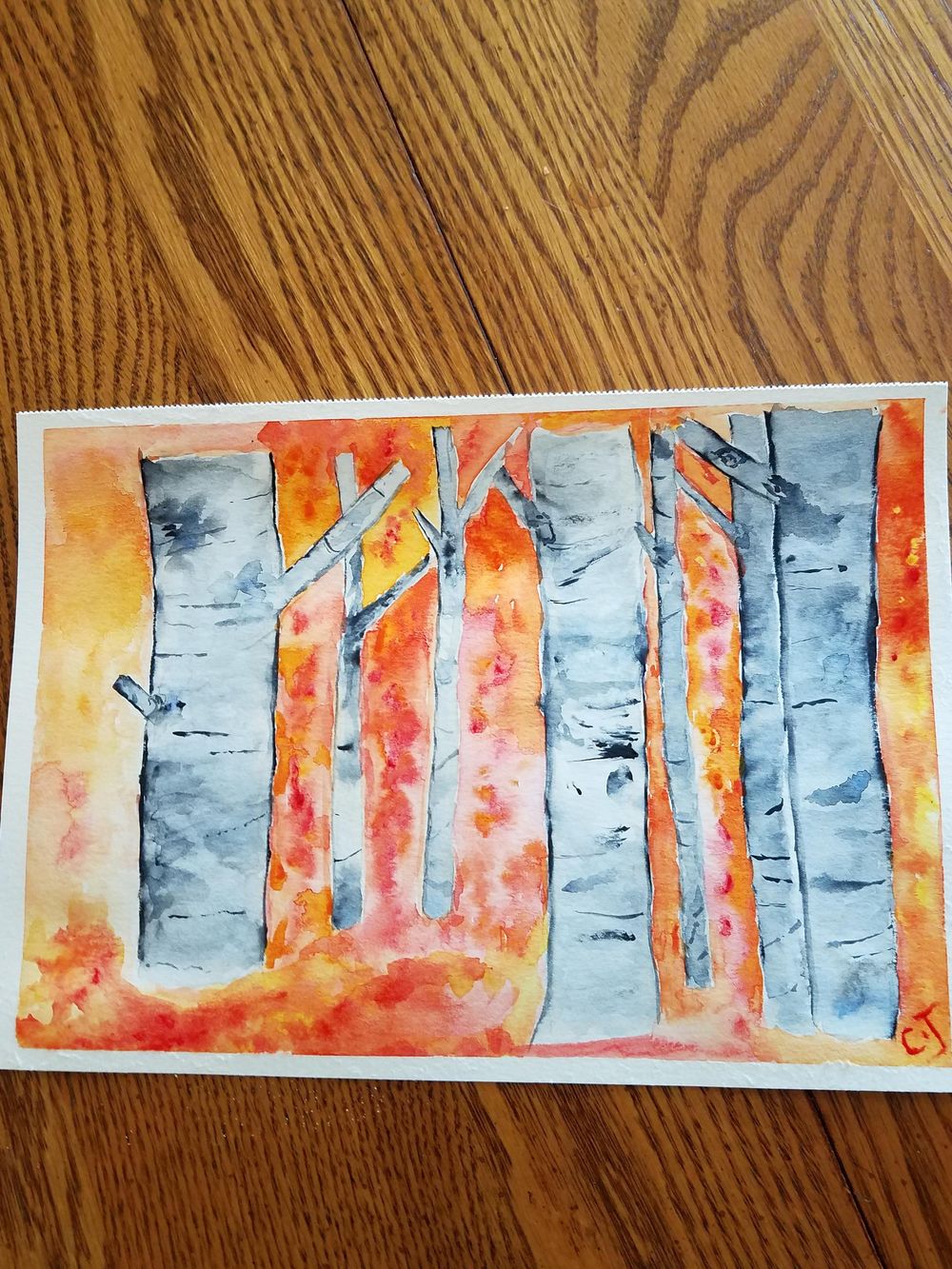 aspen - image 1 - student project