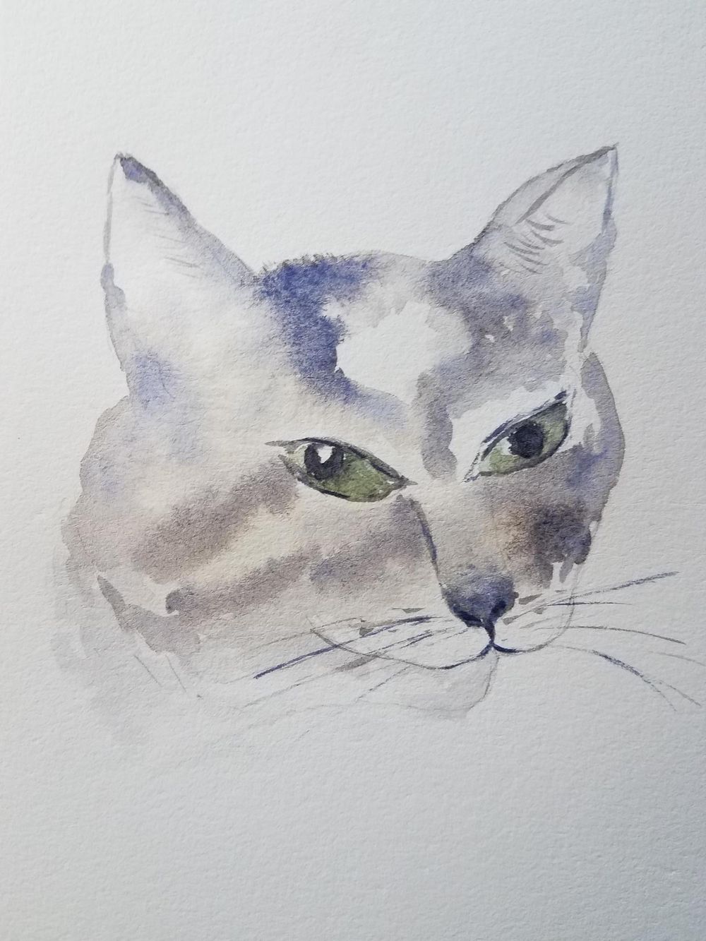 greycat - image 1 - student project