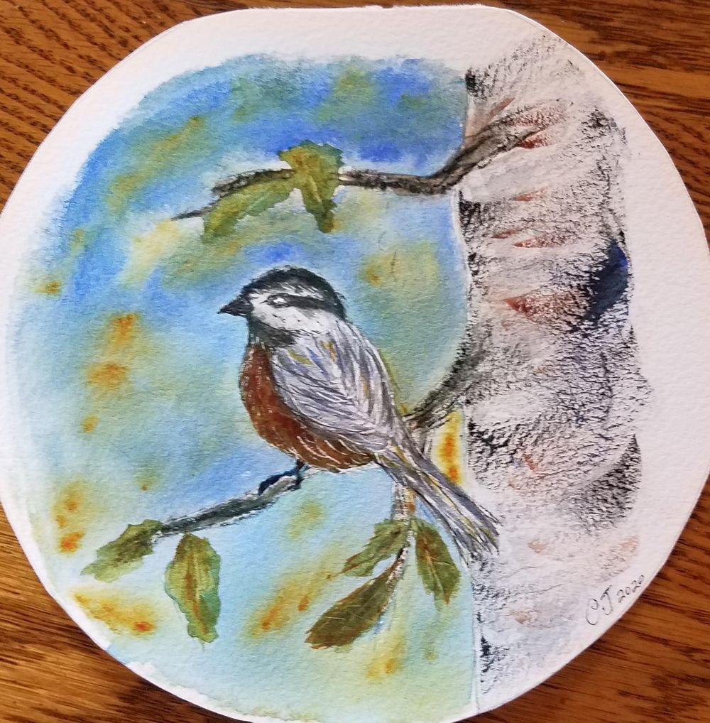 chickadee - image 1 - student project