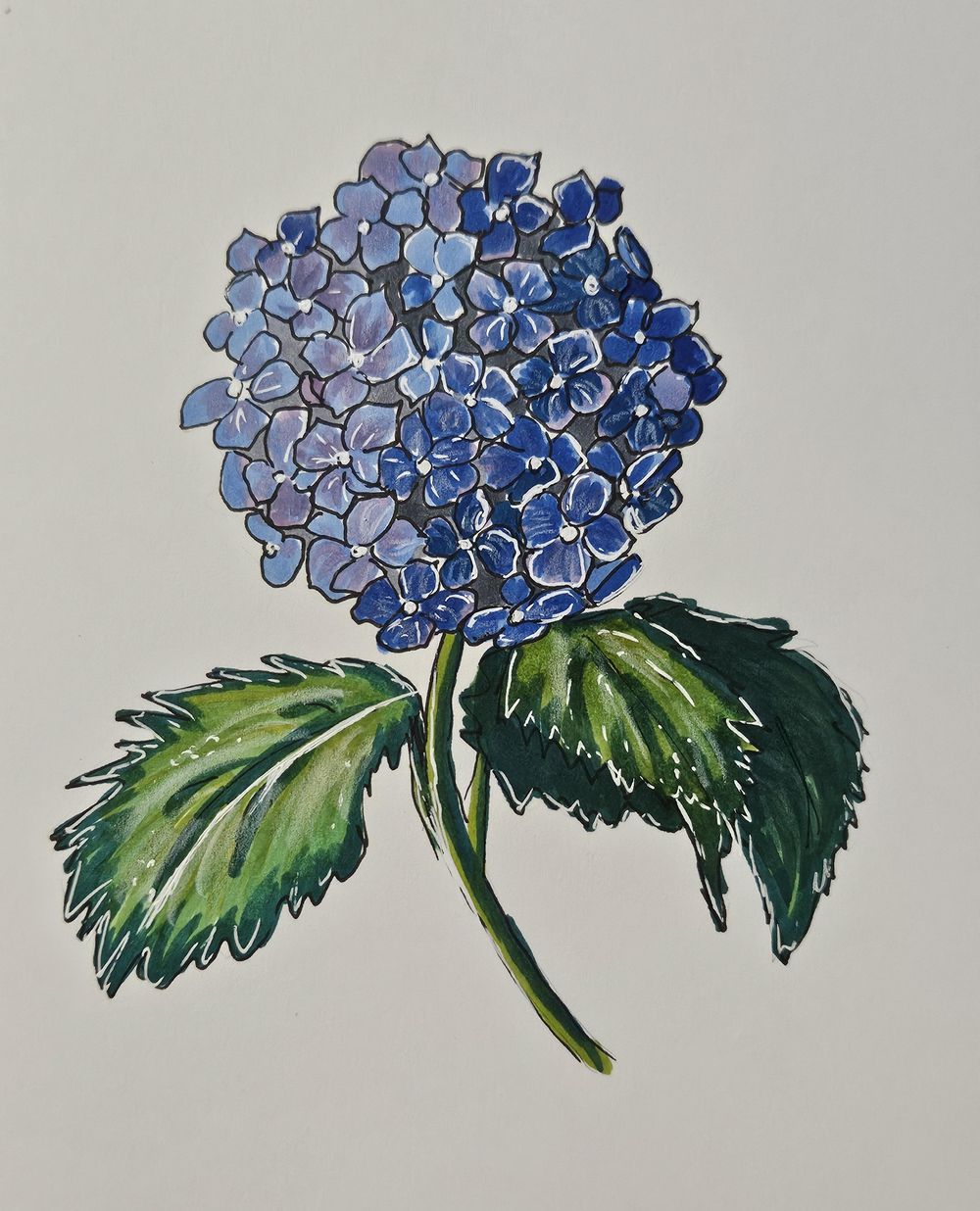 Hydrangea with markers - image 3 - student project