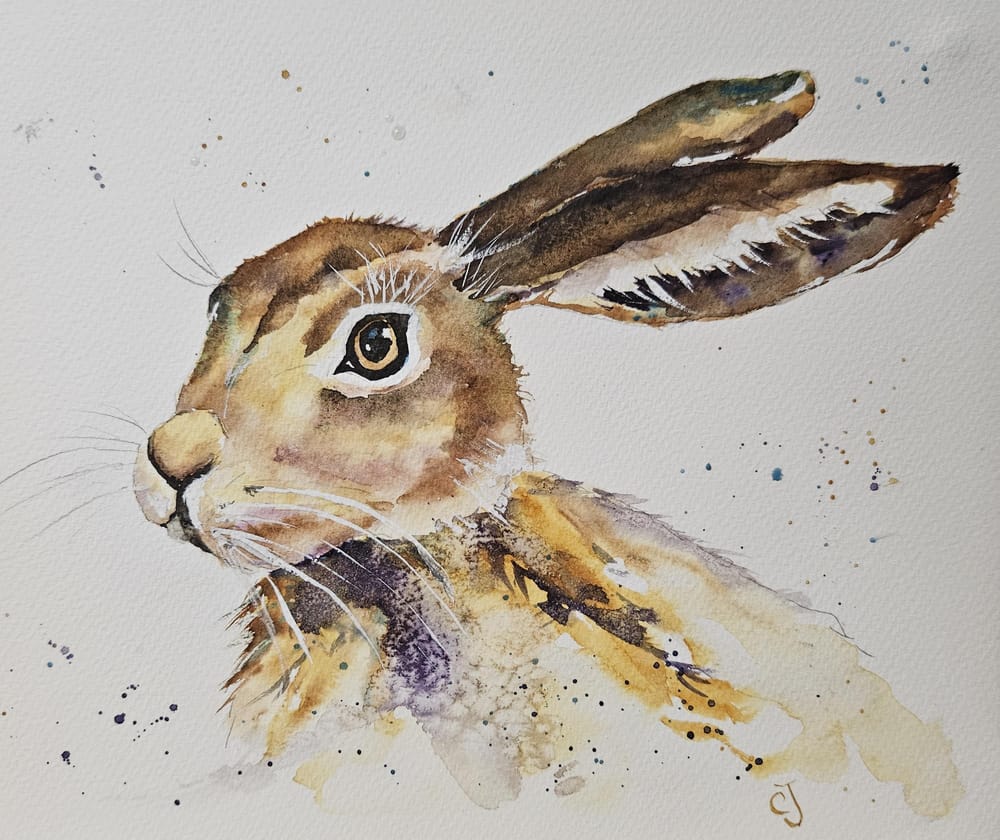 Hoppity hare - image 1 - student project