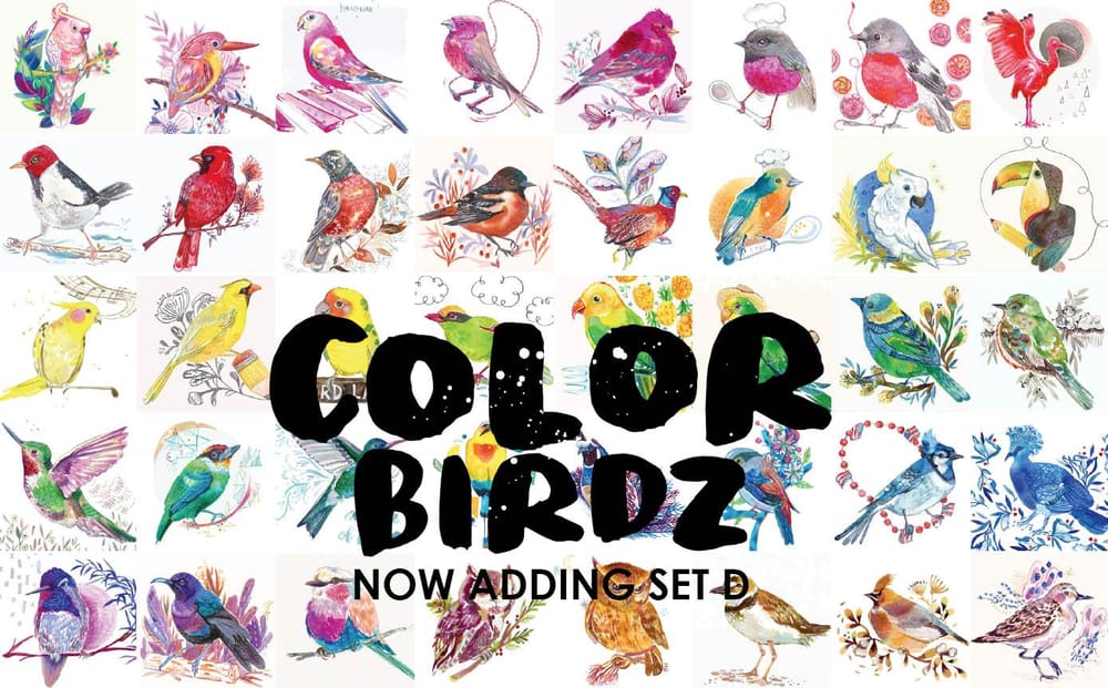 More Color Birdz - image 1 - student project