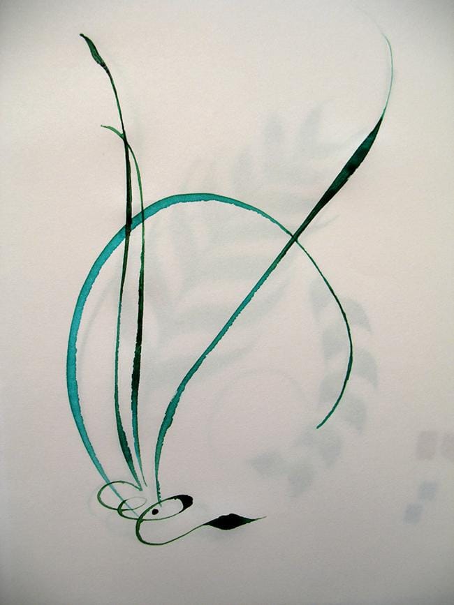 Sample Project: Fern Fantasy - image 5 - student project