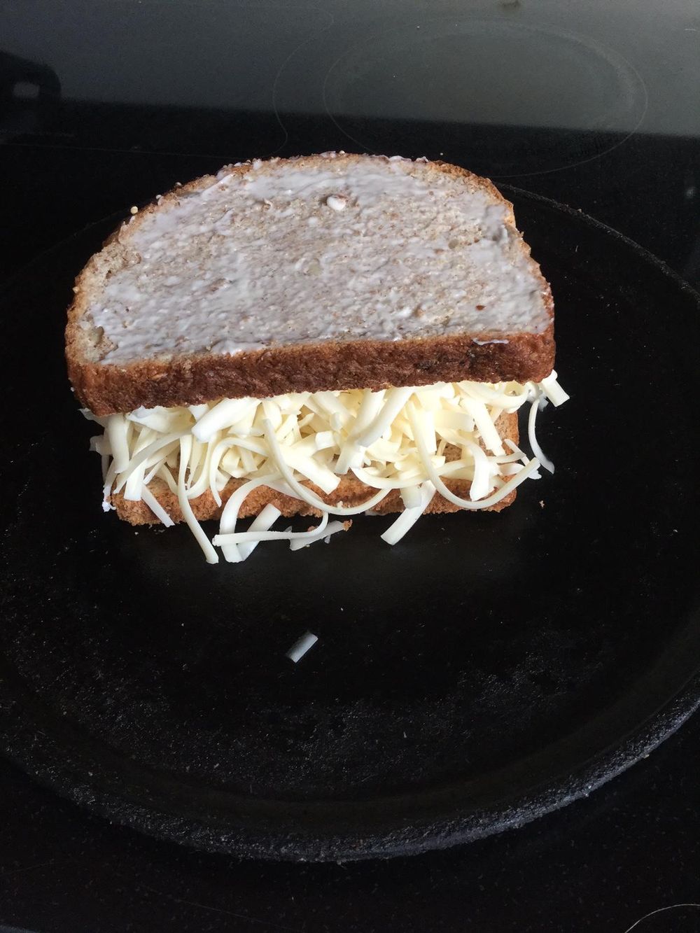 Miracle Whip and Reuben UPDATE! - image 2 - student project