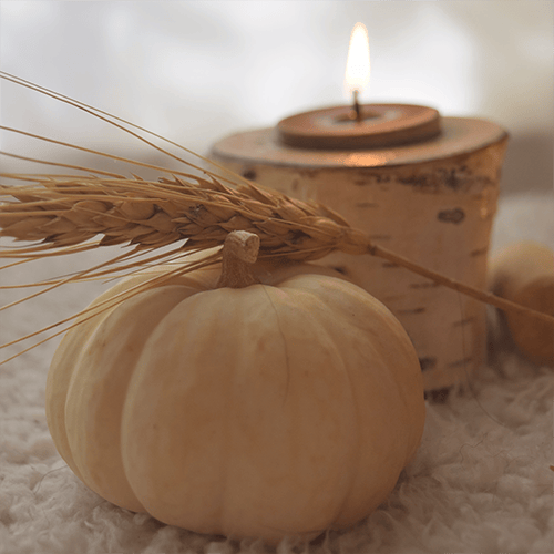 Easing into November - image 1 - student project
